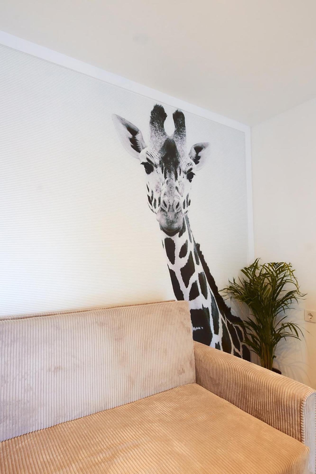 Prima Apartments サトゥ・マーレ エクステリア 写真